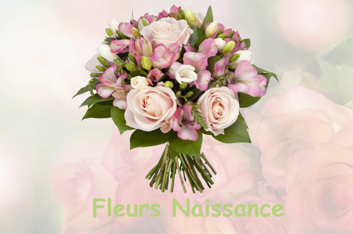 fleurs naissance CROTTES-EN-PITHIVERAIS