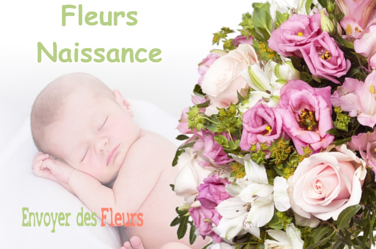 lIVRAISON FLEURS NAISSANCE à CROTTES-EN-PITHIVERAIS